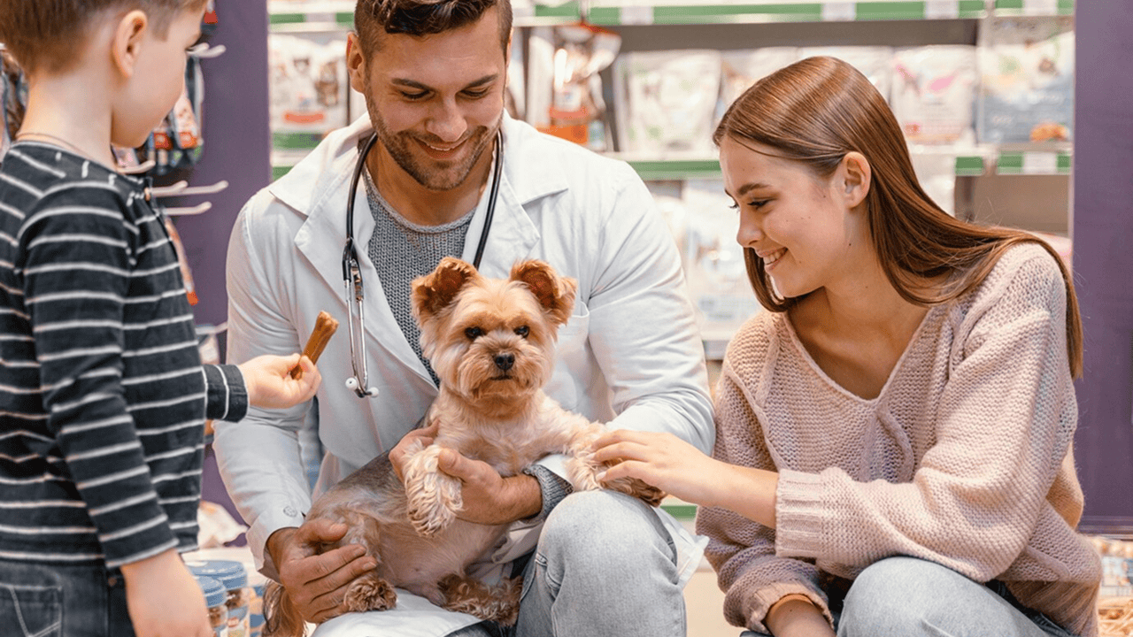 Retail Success with Veterinary Business Guide: Practical Tips to Grow Your Practice