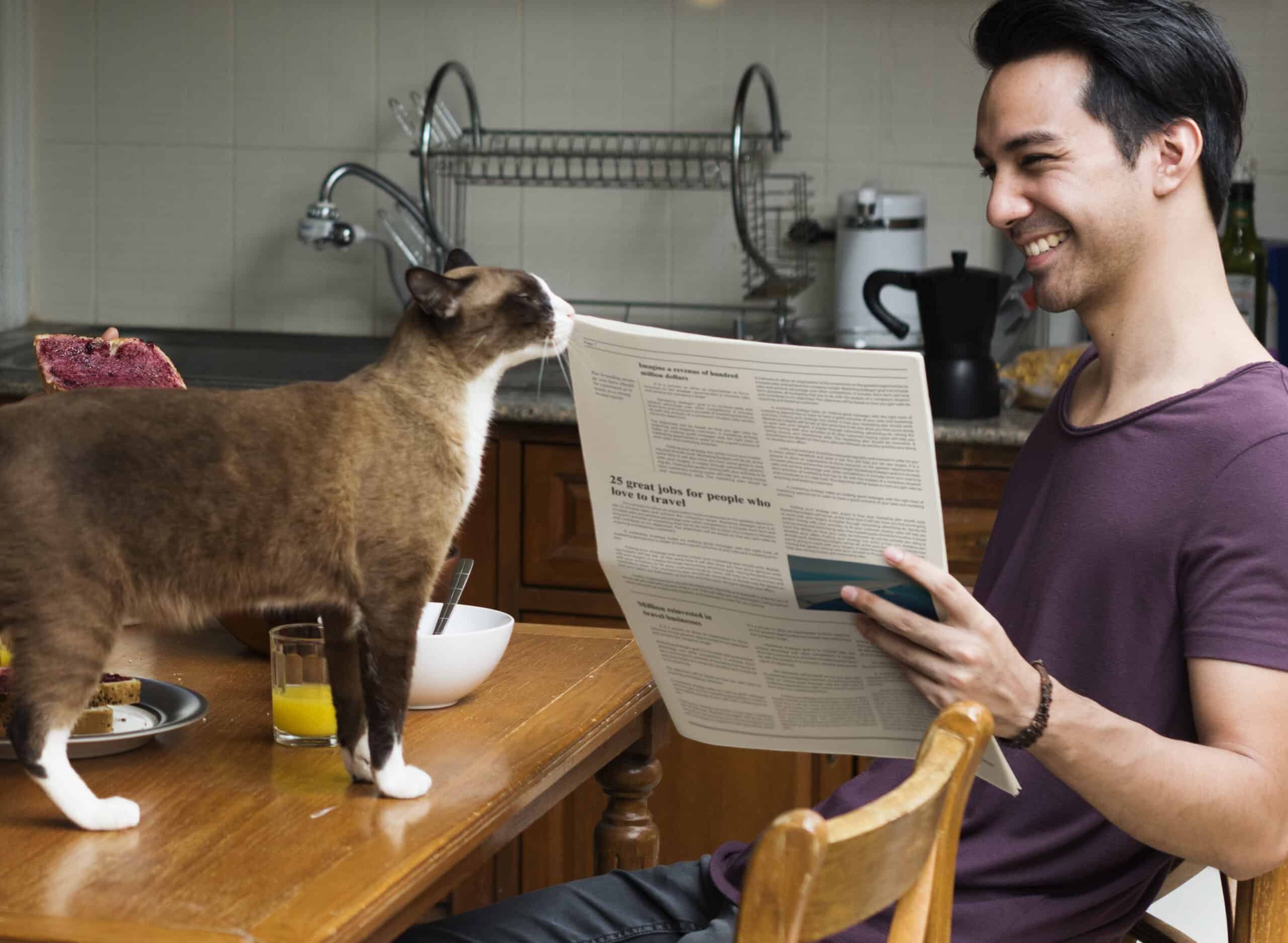Press Release: Veterinary Business Guide Launches Nationwide to Help Practices Grow and Thrive