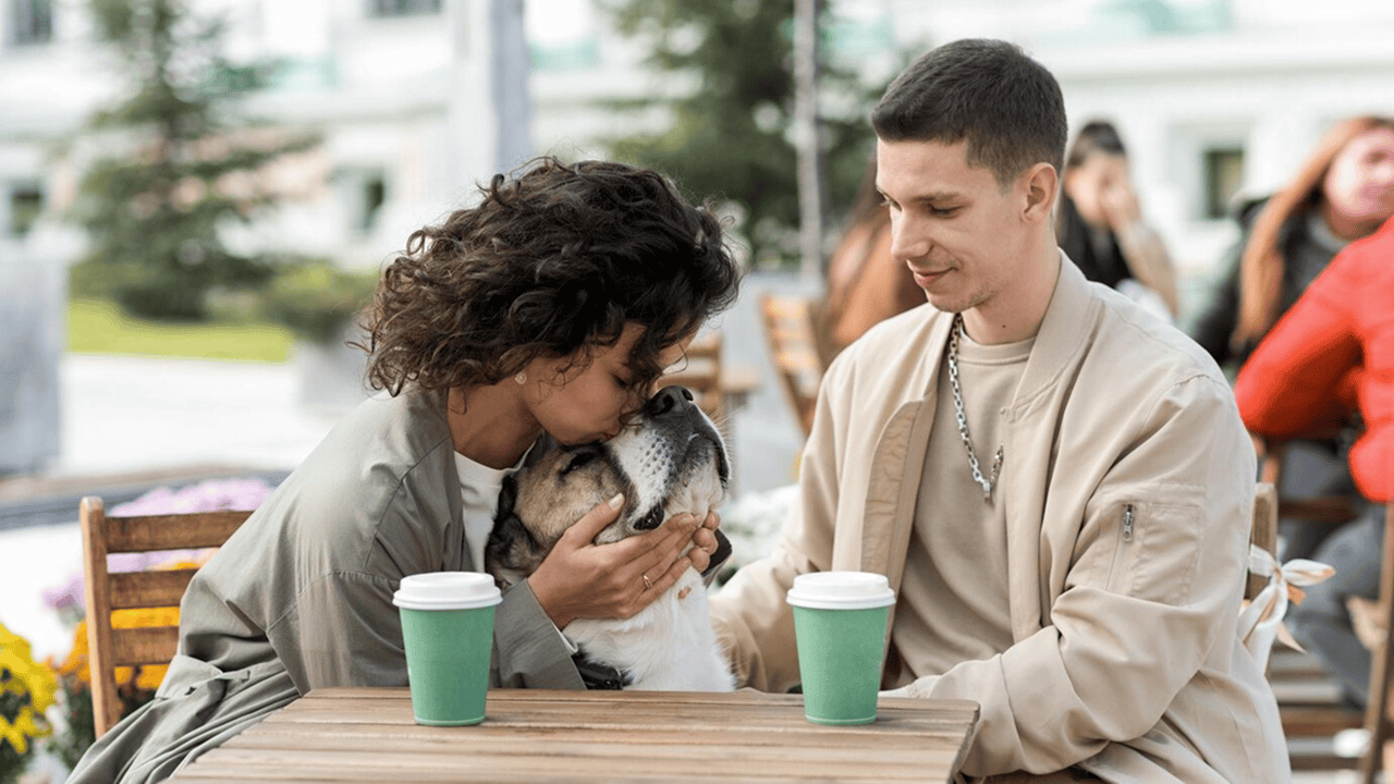 Veterinary Business Guide: Proven B2B Strategies to Grow Your Practice