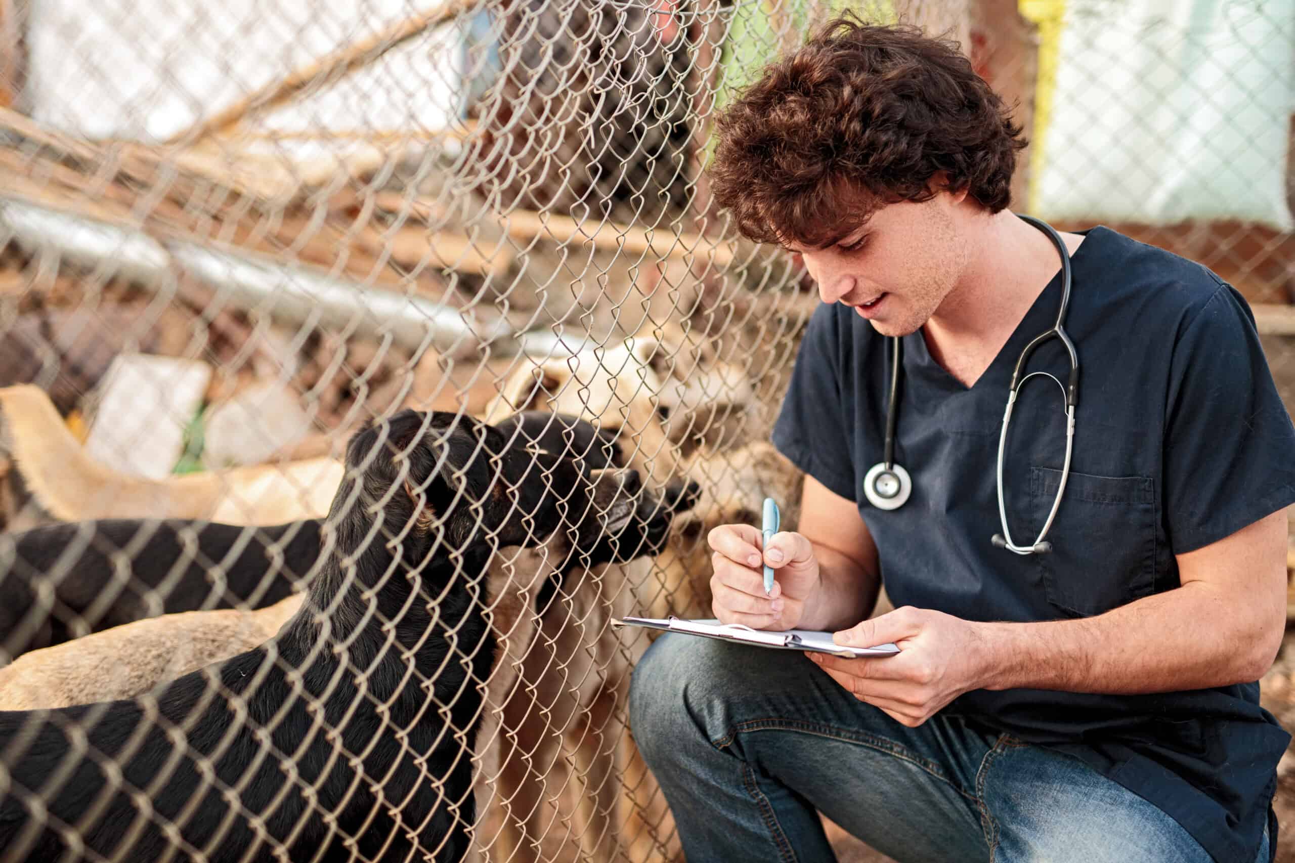 Veterinary Business Guide: Trends and Strategies to Grow Your Practice