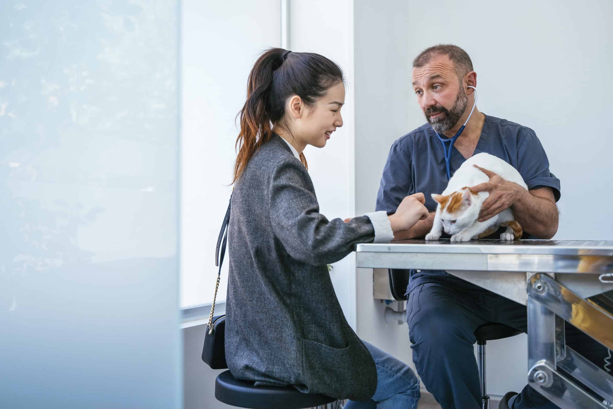 Veterinary Business Guide for Executives: Leading with Strategy and Vision