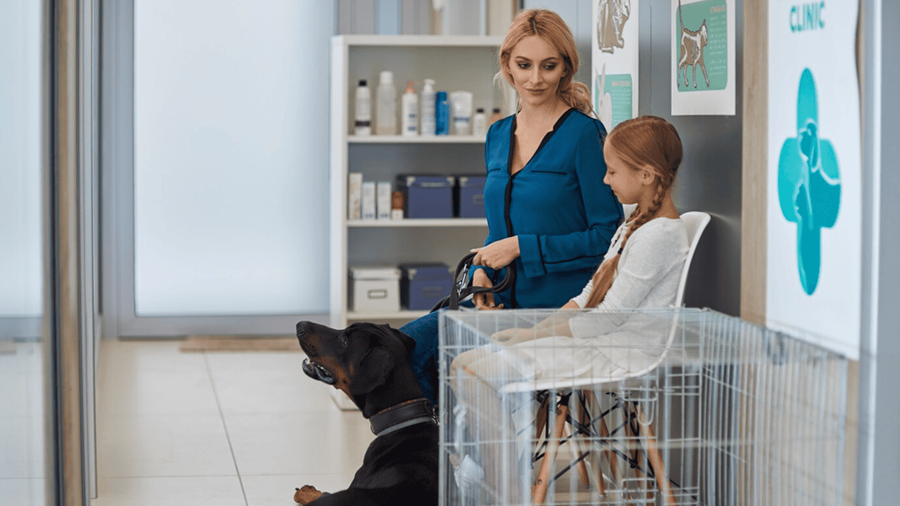 Retail Success with Veterinary Business Guide: Practical Tips to Grow Your Practice