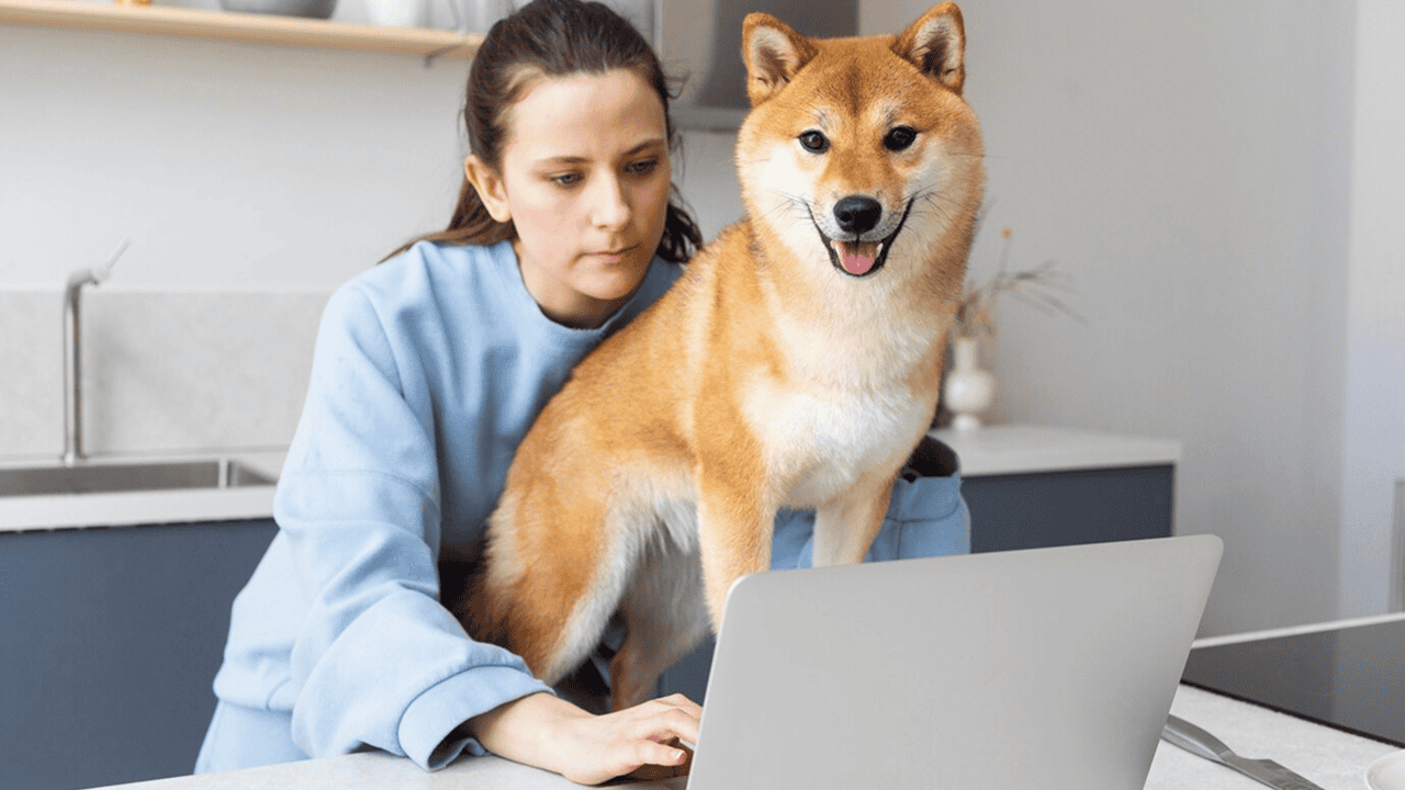 Veterinary Business Guide: Digital Transformation for Modern Veterinary Practices