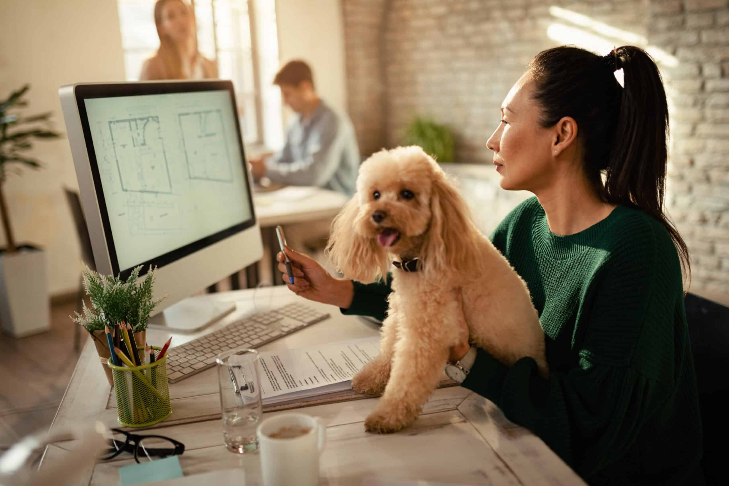 How Cloud-Based Veterinary Software Saves Time and Reduces Errors