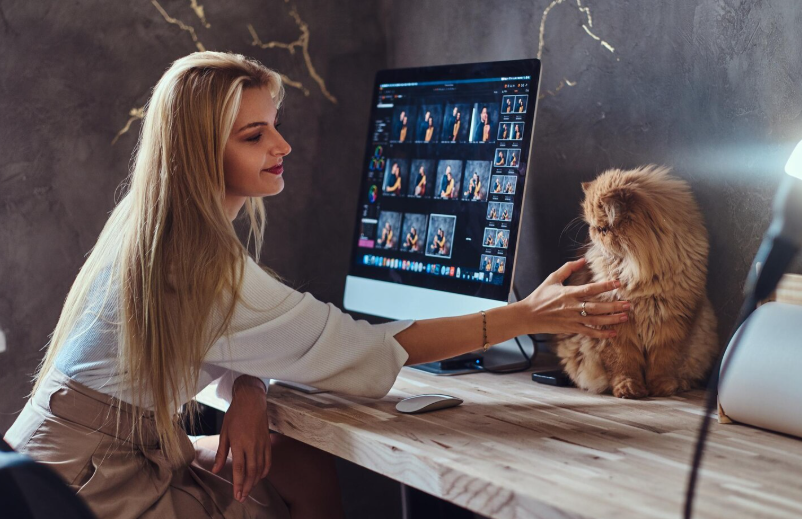 veterinary software 