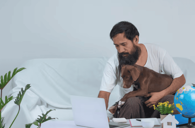 veterinary software 
