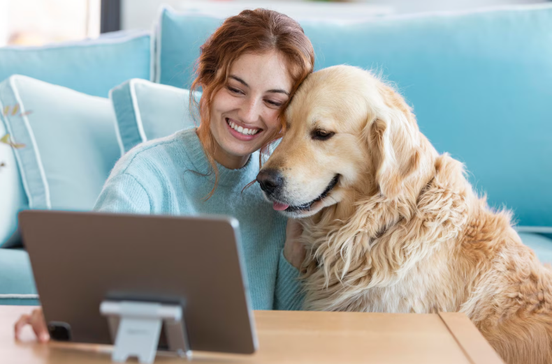 veterinary software 