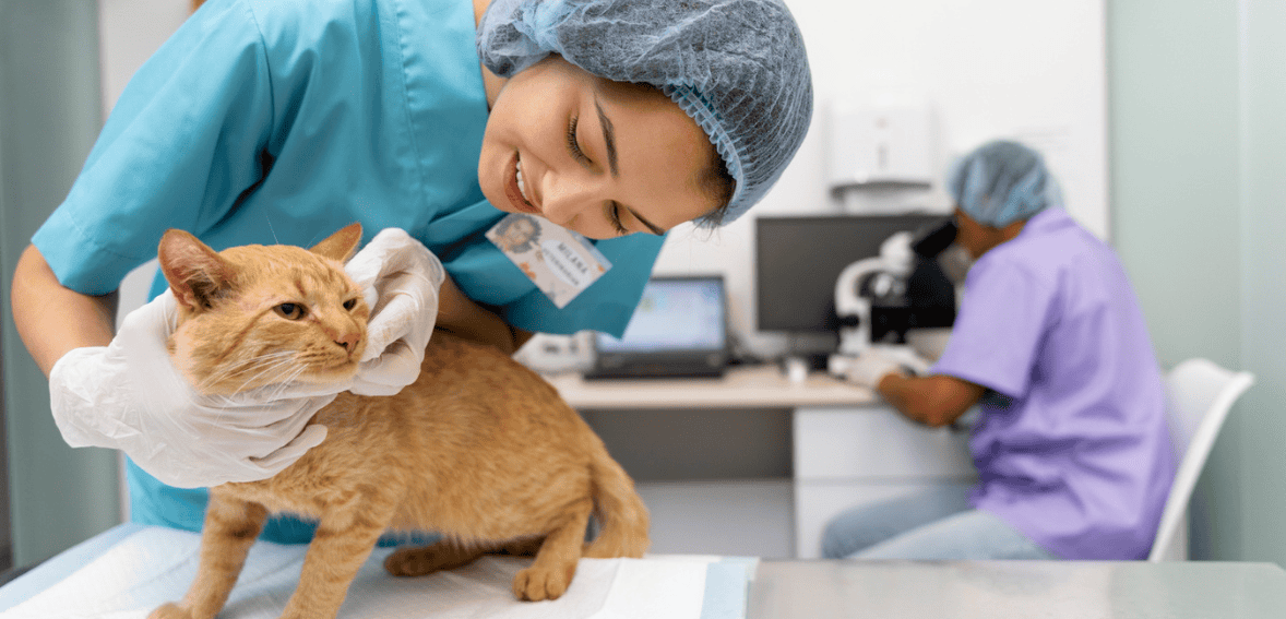 Streamlining Daily Vet Clinic Operations: What Efficient Practices Do Differently