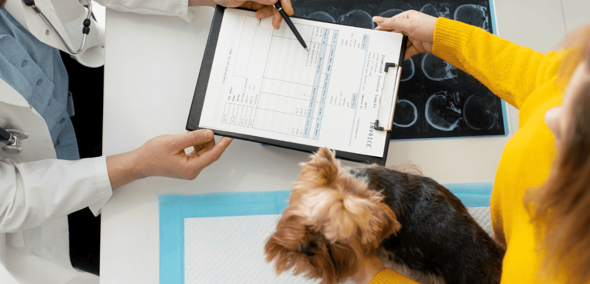 Improving Veterinary Appointment Flow in Busy Veterinary Practices
