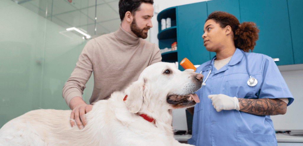 Vet Staff Efficiency