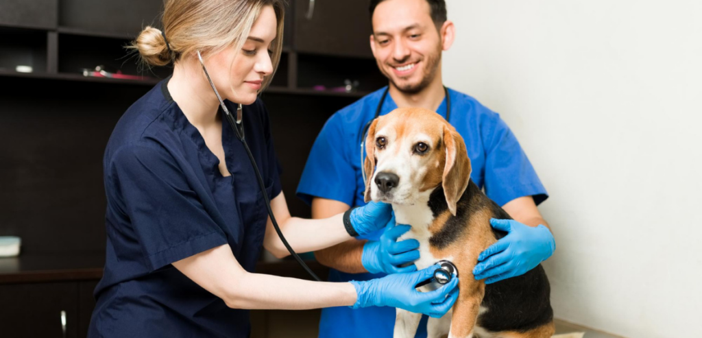 Standard Operating Procedures