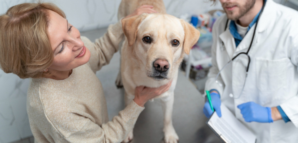 Veterinary Intake Process