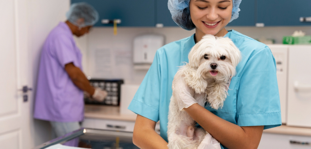 Vet Practice Technology