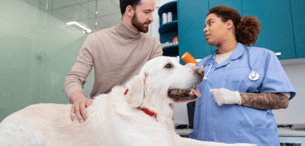 Veterinary Google Ads