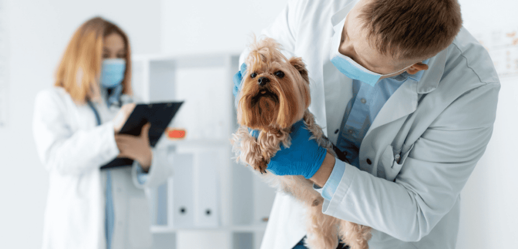 Veterinary Treatment Area