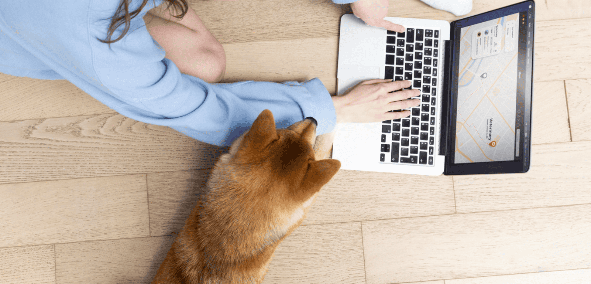 Veterinary Local SEO: Getting Found by Pet Owners Nearby