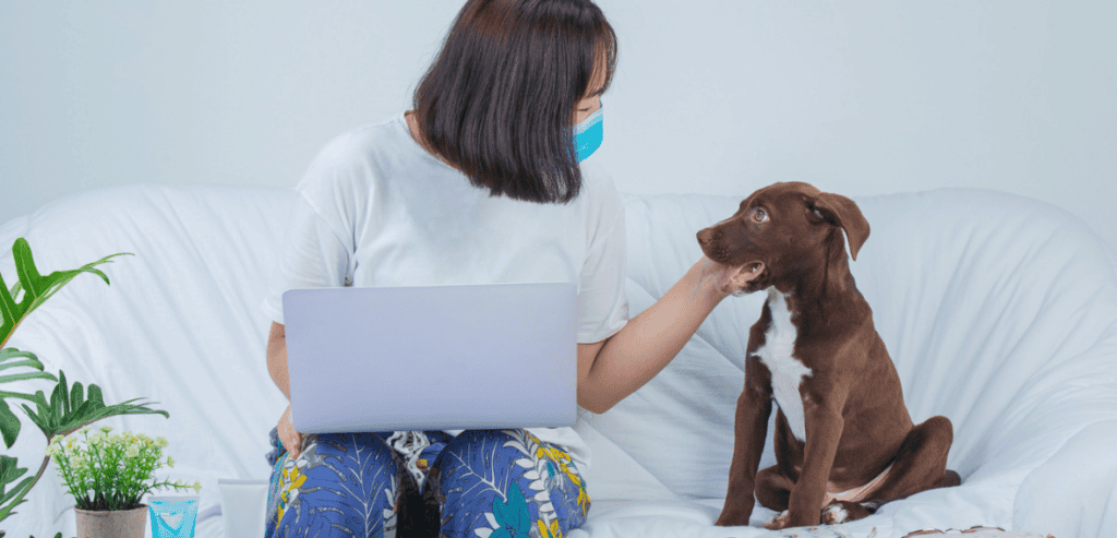 Veterinary Local SEO