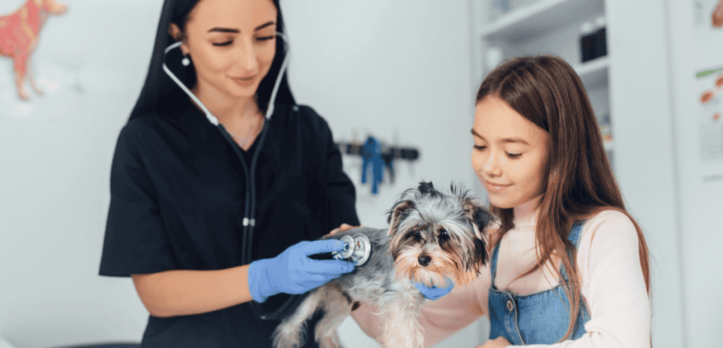 Veterinary Social Media Marketing