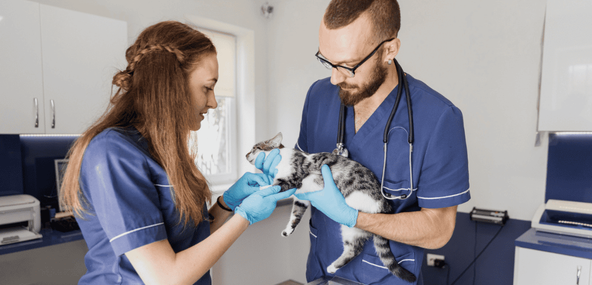 Veterinary Loyalty Programs: Encouraging Long-Term Relationships