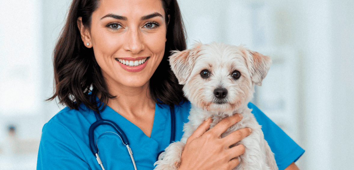 Using Storytelling in Veterinary Marketing to Connect with Pet Owners