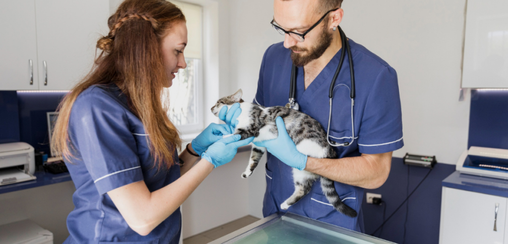 Veterinary Practice Management Software