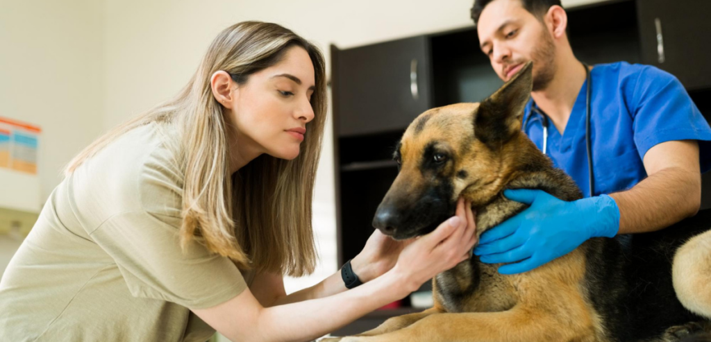Veterinary Client Communication