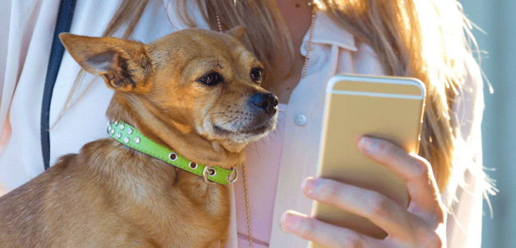 Veterinary Mobile Apps