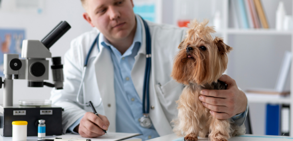 Smart Veterinary Clinic