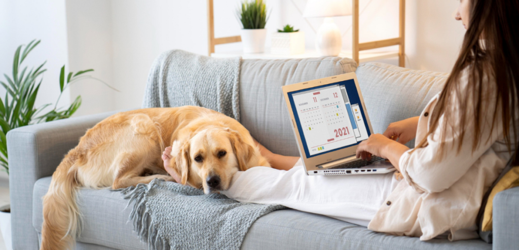 Veterinary Inventory Management
