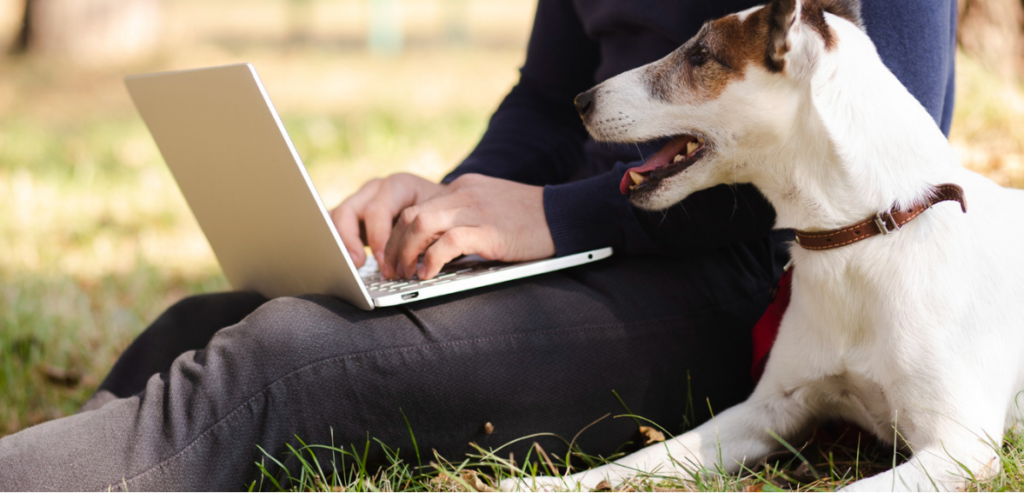 Veterinary Scheduling Software